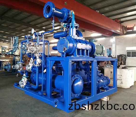 電(dian)廠凝氣器案(an)例